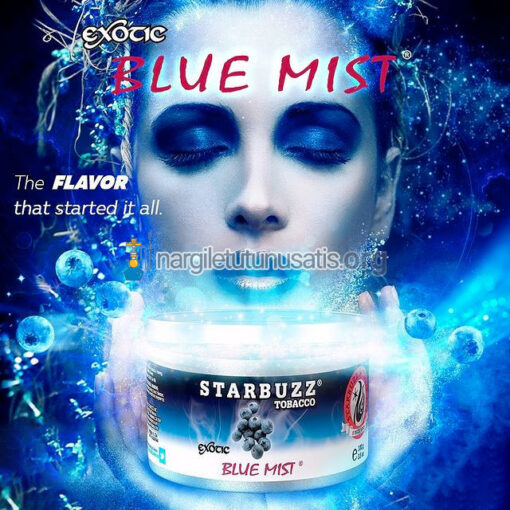 Starbuzz Blue Mist 250 Gr Nargile Tütünü - Bandrollü -- 01
